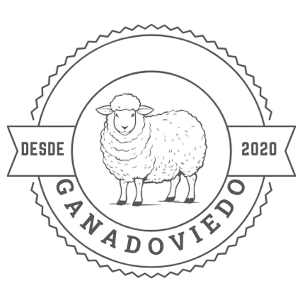 lana oveja guadalajara