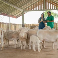 asian-famer-and-the-veterinarian-stand-and-discuss-2025-03-05-13-05-36-utc