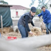 people-working-on-a-farm-2024-09-14-22-18-14-utc